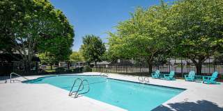 ReNew Dash Point Gallery 53