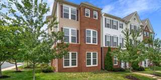 22664 AMBERJACK Square Gallery 1