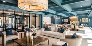 The Canopy Gallery 23