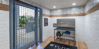 The Wylden Gallery 48