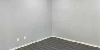 Harmony Heights - New MGMT Gallery 13