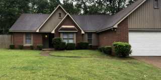 6633 Winding Birch Dr Gallery 1