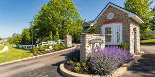 The Trails of Saddlebrook Gallery 88