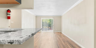 Pelicans Landing Gallery 9