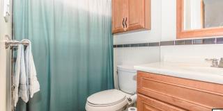 Bright  Efficient 3-Bedroom Apartment with Hardwood Floors – 3 Bed | 2 Bath | 675 Sq F Gallery 6