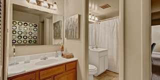 Cinnamon Run at Peppertree Farm Gallery 18