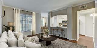 Stone Oak @ Parmer Gallery 2