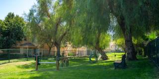 Colony Townhomes Gallery 22
