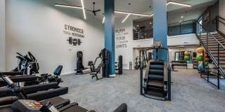 Arcadia 331 Gallery 15