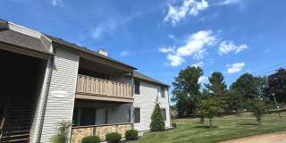 1502 THE WOODS Gallery 4