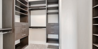 Windsor Cirrus Gallery 32