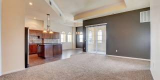 Boca Raton Gallery 26