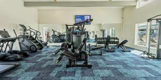 Birchway Quarry Falls Gallery 16