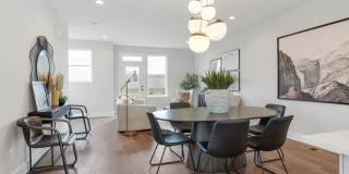 Welcome to The Becanni! Gallery 7