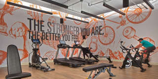 Luna at Viera Gallery 6