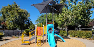 The Harlow Gallery 47