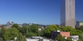 The Gossamer Gallery 16