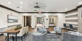 Nav850 at Olde Towne Gallery 13