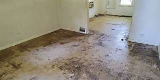 5257 Alcott Avenue Gallery 2