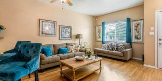 Diamond Mesa Gallery 19