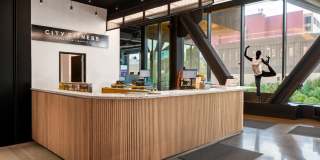 The Noble Gallery 10