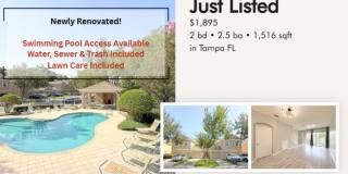 9818 Fan Palm Way - 1 Gallery 1