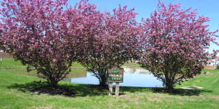 2373 Grand Fir Dr Gallery 2