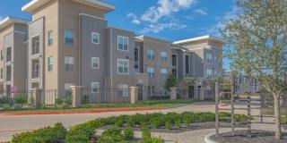 Territory at Greenhouse Gallery 23