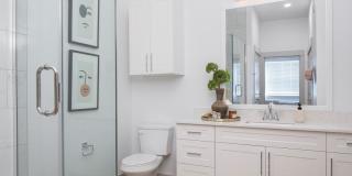 2881 Frontera Dr Gallery 2