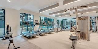 Alta Purl Gallery 37