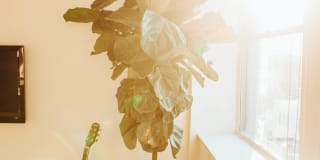 The Commerce Building Gallery 6