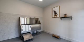 The Ashborough Gallery 9