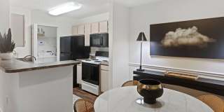 Hollis 7601 Gallery 18