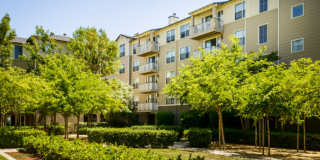 Marlin Cove Apartments Marlin Cove Apartments Gallery 39