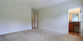 3 Bedroom 2 Bathroom Live Oak - Richmond Hill Gallery 26