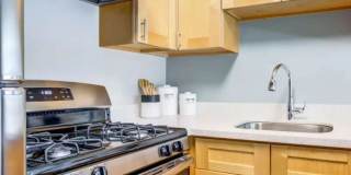 Rica Vista Gallery 4