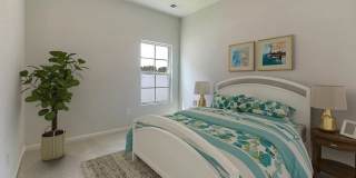 153 Pembroke Street Gallery 2