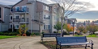 Sofi at Cedar Mill Gallery 31