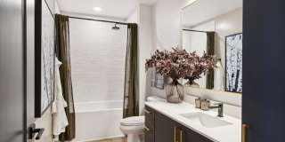 NOVEL Scotts Addition Gallery 50