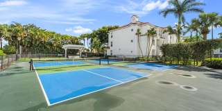 Windsor Coral Springs Gallery 5