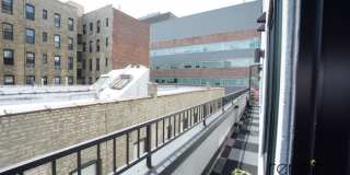 1014 Carroll Street Gallery 4