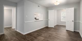 Hidden Colony Gallery 2