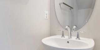44504 WOLFHOUND Square Gallery 9