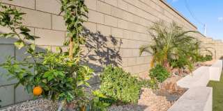 73774 Mojave Desert Drive Gallery 43