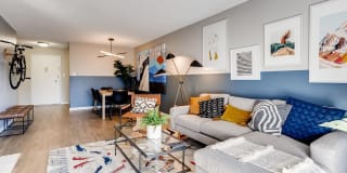 Sage at Panorama Gallery 4