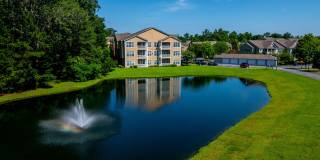 Olympus Fenwick Gallery 45