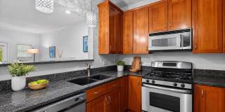 1708 LAKE SHORE CREST Drive Gallery 11