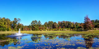 Lauren Ridge Gallery 22