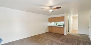 Native Sun Gallery 4