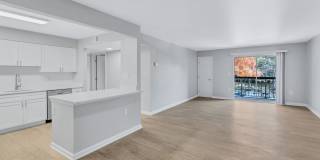 Columbia Glade Gallery 3